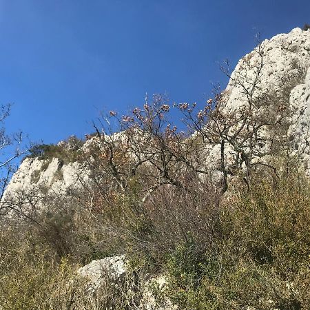 Chambre En Ardeche Du Sud Saint-Remeze Eksteriør billede