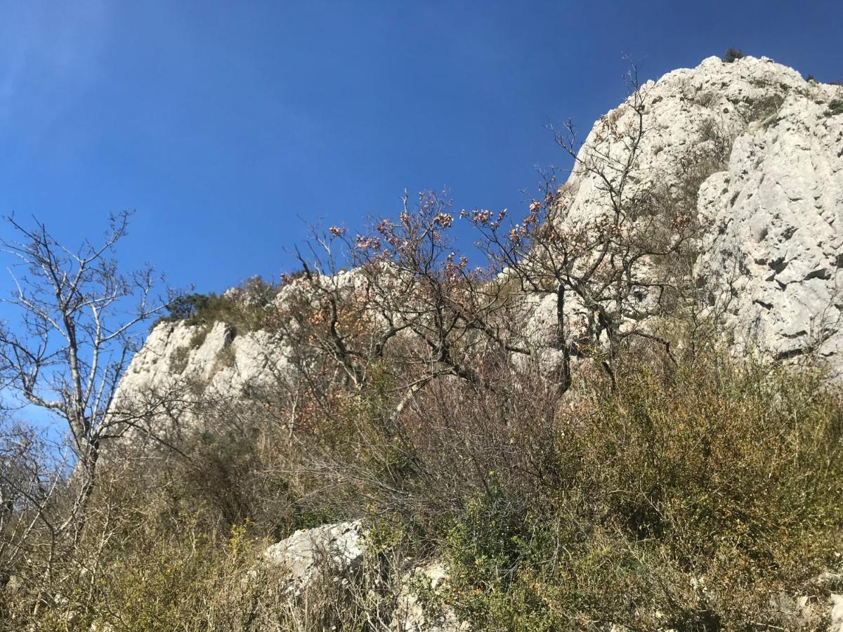 Chambre En Ardeche Du Sud Saint-Remeze Eksteriør billede