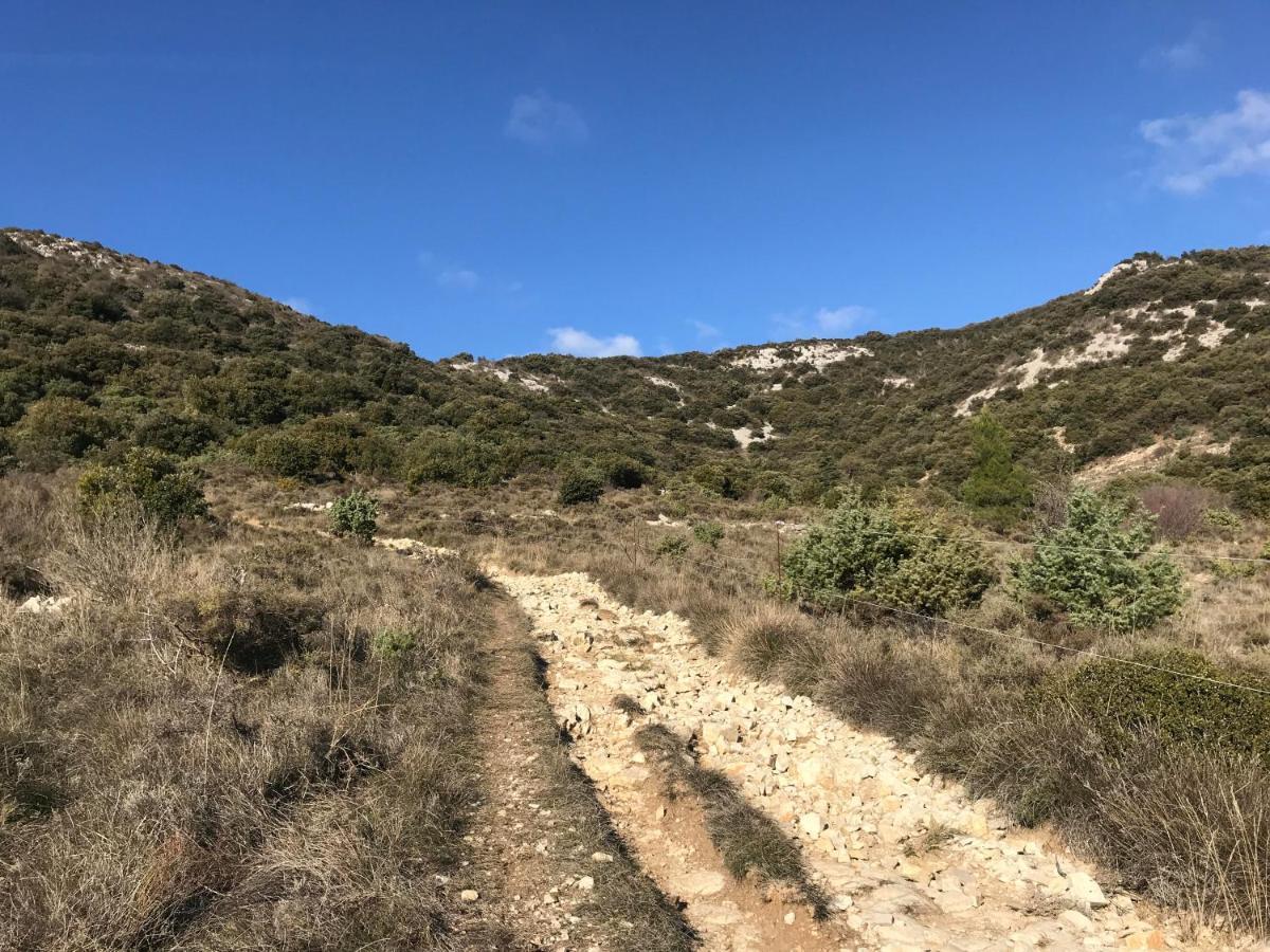 Chambre En Ardeche Du Sud Saint-Remeze Eksteriør billede